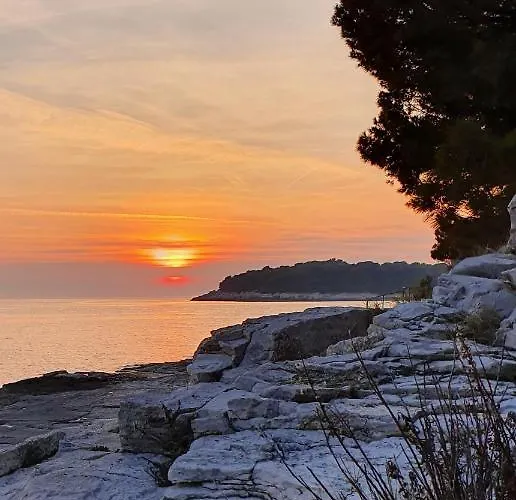 아파트 Amphitheater